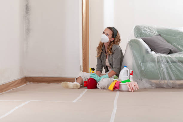 Reliable Mold Removal contractor in Wakefield, VA by WQB Mold Removal
